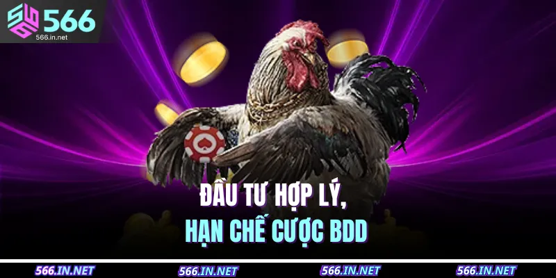 Đầu tư hợp lý, hạn chế cược BDD 