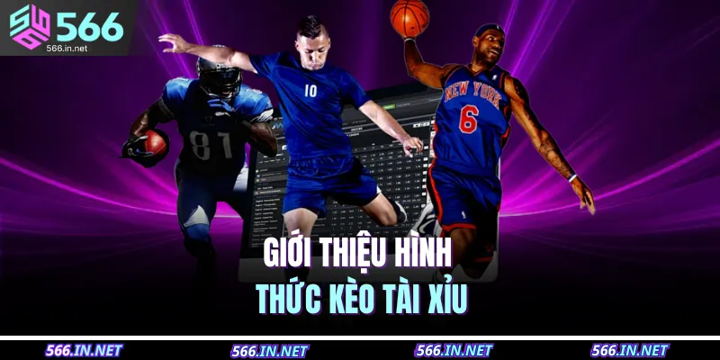 Giới thiệu hình thức kèo tài xỉu