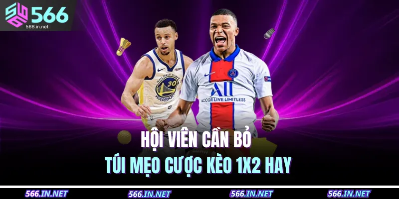 Hội viên cần bỏ túi mẹo cược kèo 1x2 hay