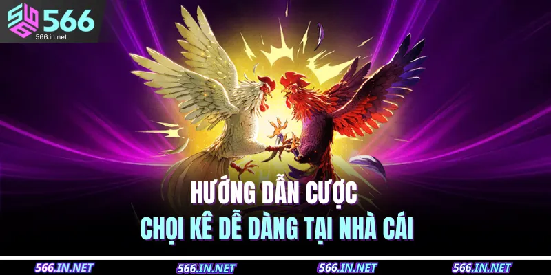 Hướng dẫn cược chọi kê dễ dàng tại nhà cái