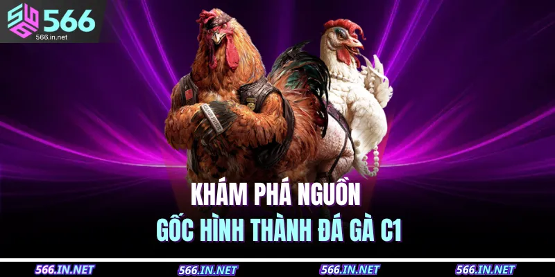 Khám phá nguồn gốc hình thành đá gà C1