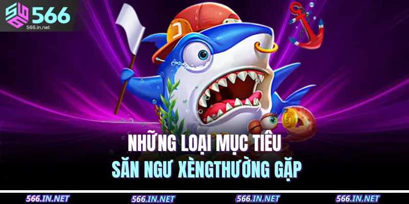 Những loại mục tiêu săn ngư xèngthường gặp