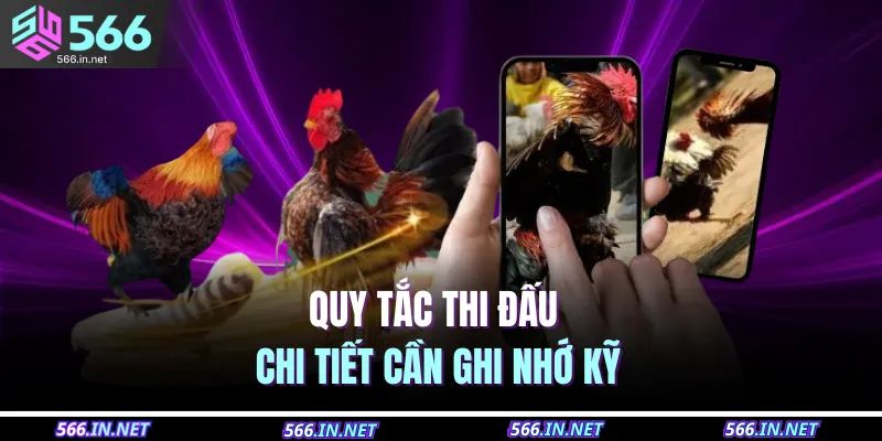 Đá Gà Cựa Sắt – Cược Kịch Tính, Nhận Thưởng Cực To 3 Quy tắc thi đấu chi tiết cần ghi nhớ kỹ