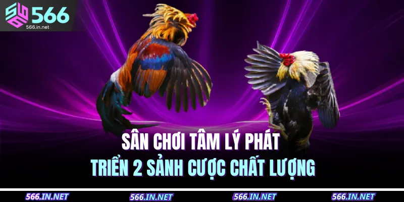 Sân chơi tâm lý phát triển 2 sảnh cược chất lượng 