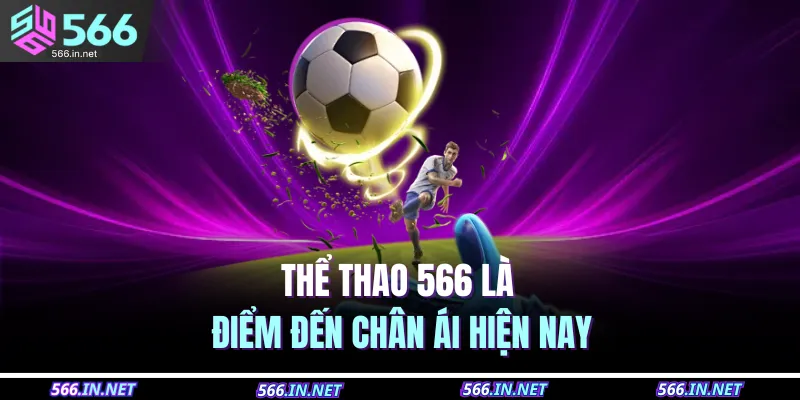 Thể thao 566 là điểm đến chân ái hiện nay 