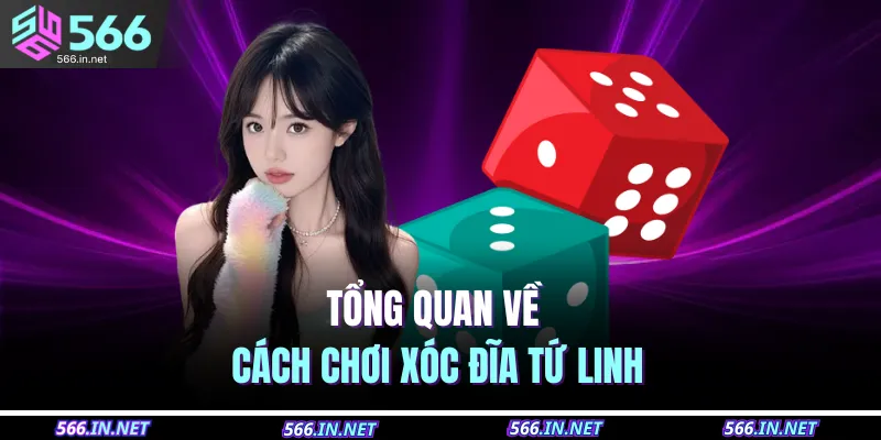 Tổng quan về cách chơi xóc đĩa Tứ linh